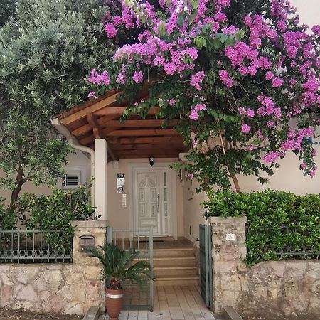 Apartments Maris Petrovac 외부 사진