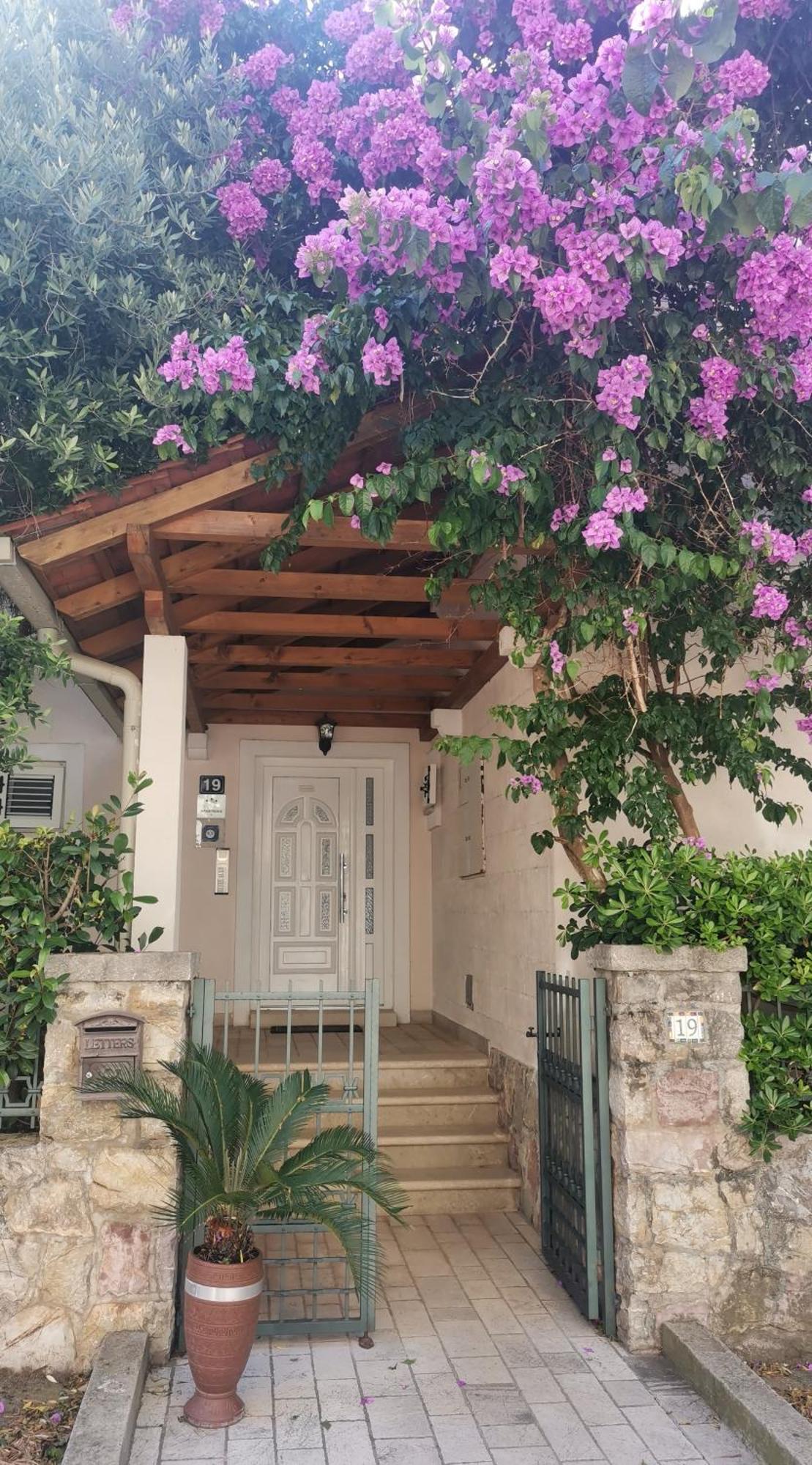 Apartments Maris Petrovac 외부 사진