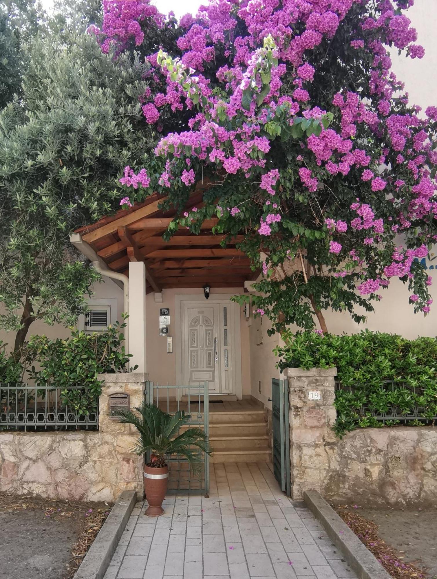 Apartments Maris Petrovac 외부 사진