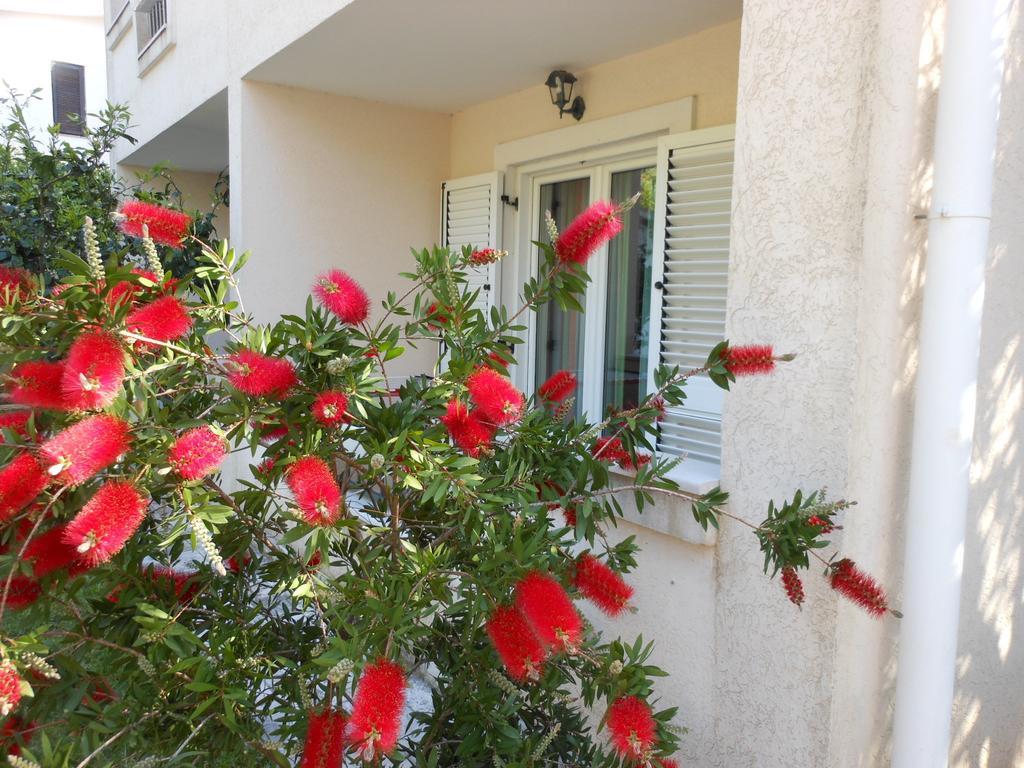 Apartments Maris Petrovac 객실 사진